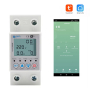 Лічильник електроенергії 1ф 63А WiFi Smart з розмикачем з підсвіткою