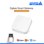 ZigBee-Wi-Fi Шлюз Smart Gateway
