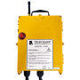 Комплект радіоуправління з джойстиками F24-60 DC24-48V